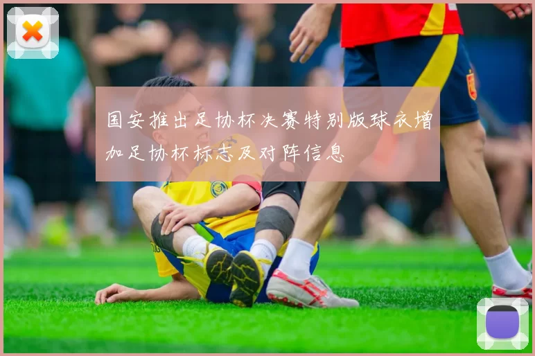 国安推出足协杯决赛特别版球衣增加足协杯标志及对阵信息